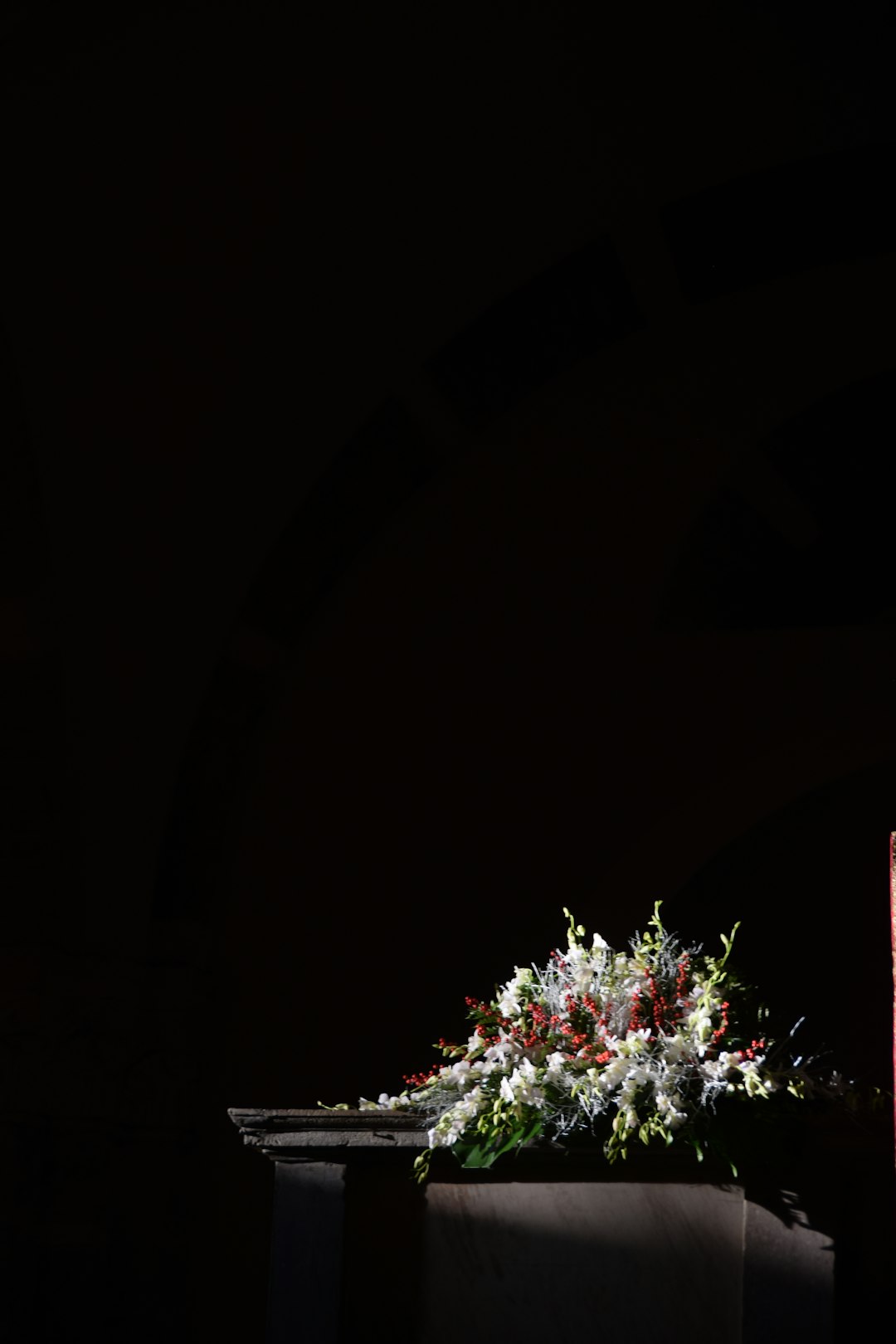 a-floral-arrangement-on-a-dark-background-xg9bxwikxhy